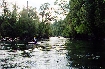 Ken paddling down the Upper